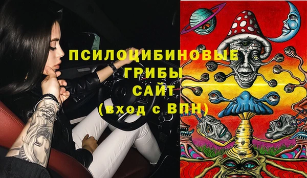 амф Абинск