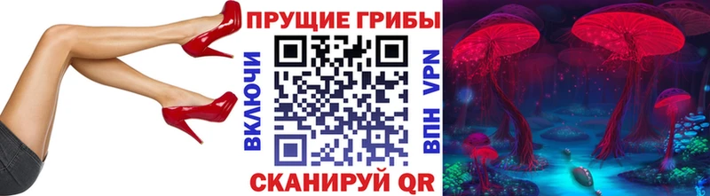 что такое   Кирс  Псилоцибиновые грибы Cubensis 