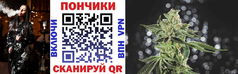 Бошки Шишки VHQ Кирс